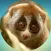 Lovely Lemurs! Stickers