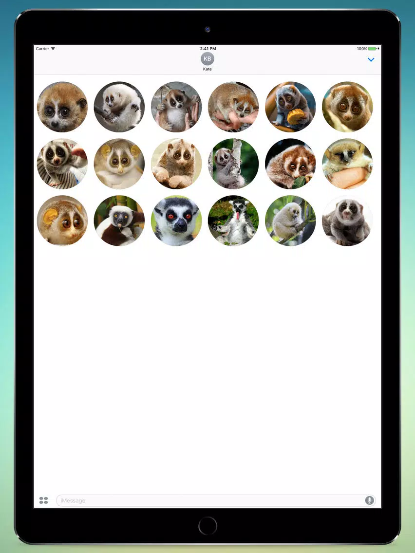 Lovely Lemurs! Stickers iPad Screenshots