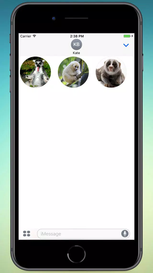 Lovely Lemurs! Stickers Screenshots