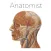 Anatomist – Anatomy Quiz Game