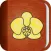 Orchid Album