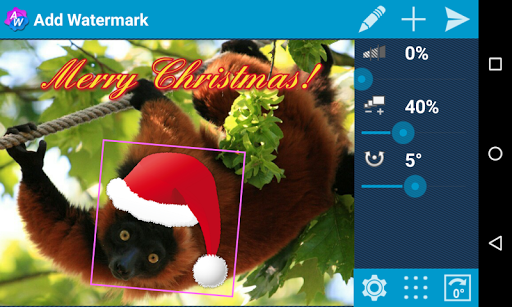 Add Watermark Screenshots
