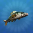 True Fishing 2