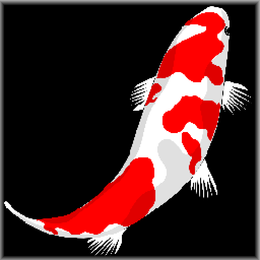 Koi Story - Part 1