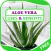 Uses & Benefits of Aloe Vera