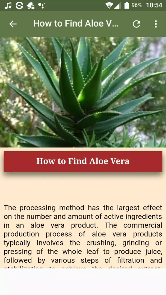 Uses & Benefits of Aloe Vera Screenshots