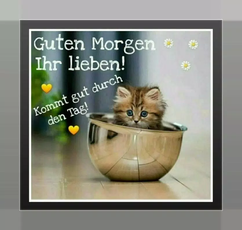 Guten Morgen und Gute Nacht应用截图