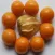 KALRO Gooseberry