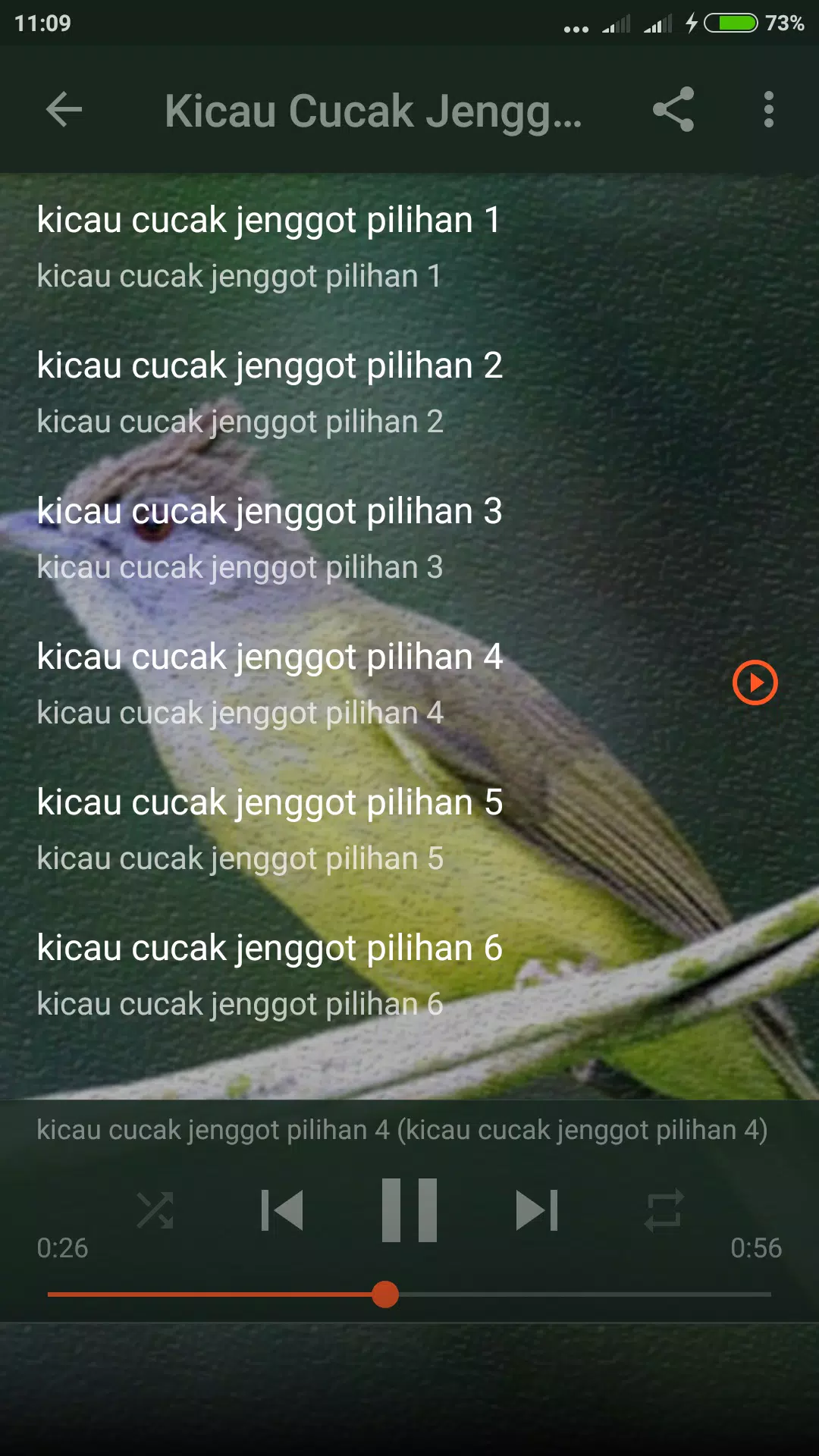 Suara Cucak Jenggot Gacor Screenshots