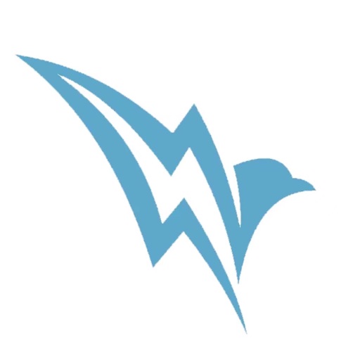 FlashBird Driver FlashBird Driver