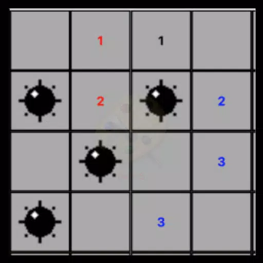 Minesweeper Puzzles Minesweeper Puzzles