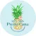 Mr & Mrs Punta Cana Transfers