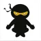 Vocab Ninja - Word of the Day