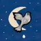 Angry Dove