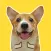 Puppy Face Animated Stickers