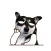 Husky Dog Animated Stickers