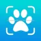 Animal Tracks Discovery