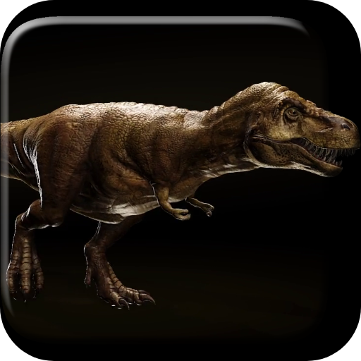 Tyrannosaurus Rex 3D