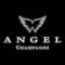 Angel HALO AR
