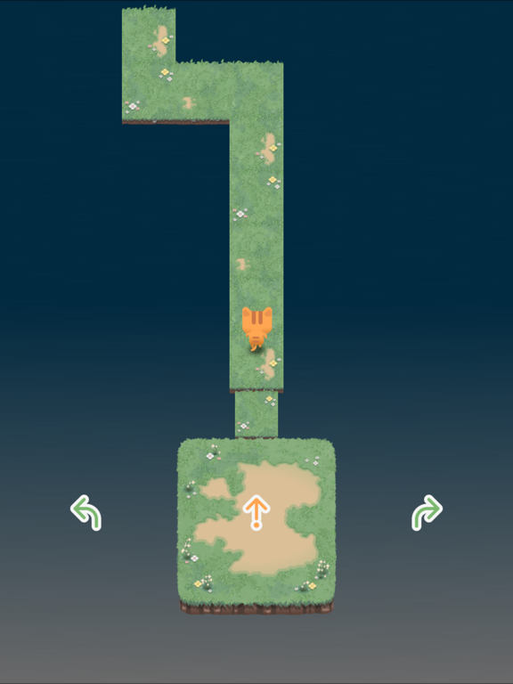 Capturas de tela do Dr Jump iPad 