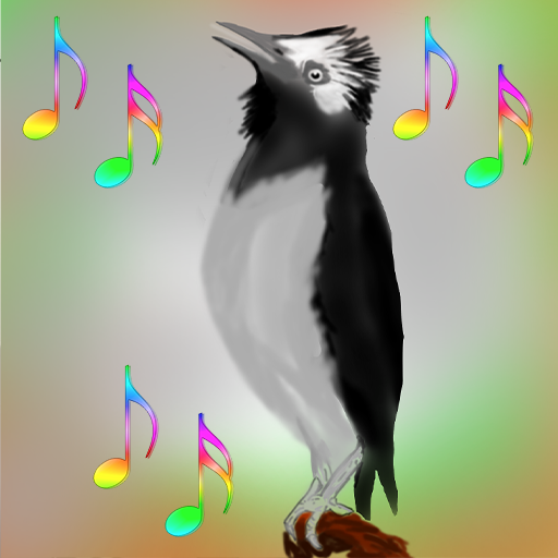 Suara Burung Jalak Gacor