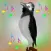 Suara Burung Jalak Gacor