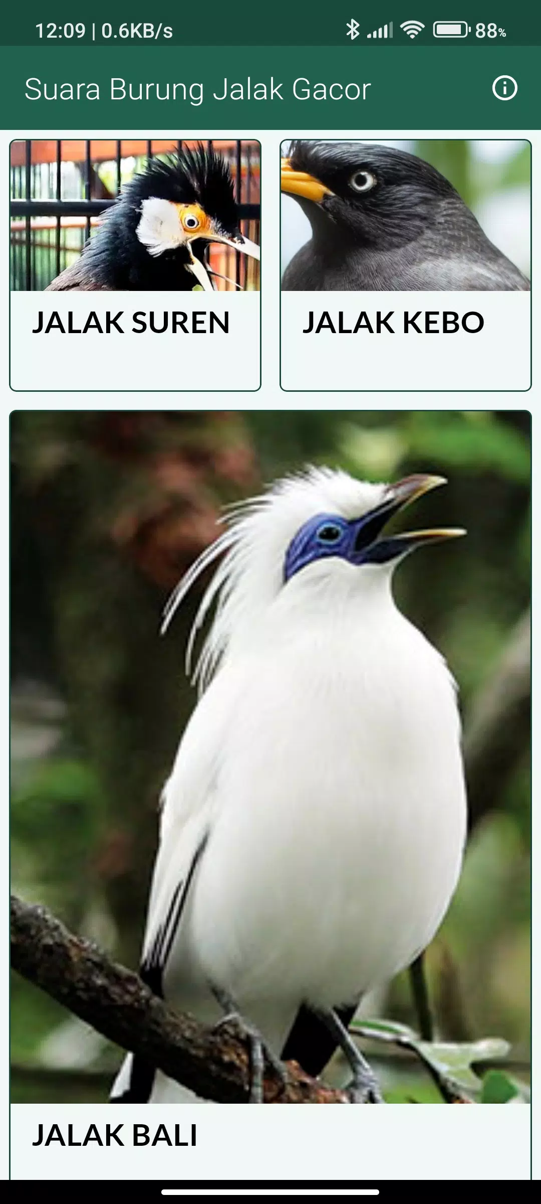 Suara Burung Jalak Gacor Screenshots