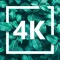 4K Wallpapers Collection