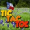 Texas Tic-Tac-Toe (2-Player)