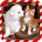 Dog Love Cat Puzzle