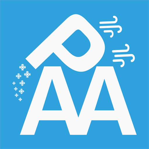 APA APA