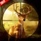 3D Deer Hunter 2017