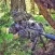 Sniper Games Gun Shooting Game