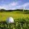 Track My Golf