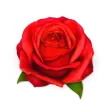 Romantic Roses Sticker Wishes