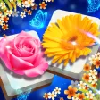 Blossom Match Blossom Match
