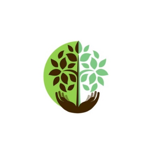 FBC Mayville FBC Mayville