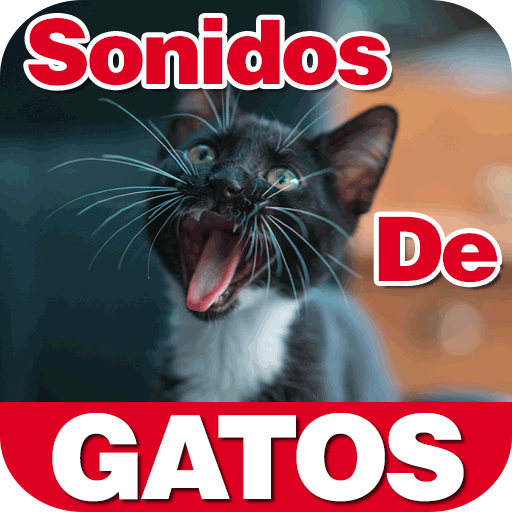 Sounds of Maullando Cats For M Sounds of Maullando Cats For M