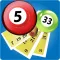 Pocket Bingo Free