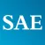 SAE I APOYO Consultoría