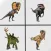 Dinosaur Flashcard Quiz
