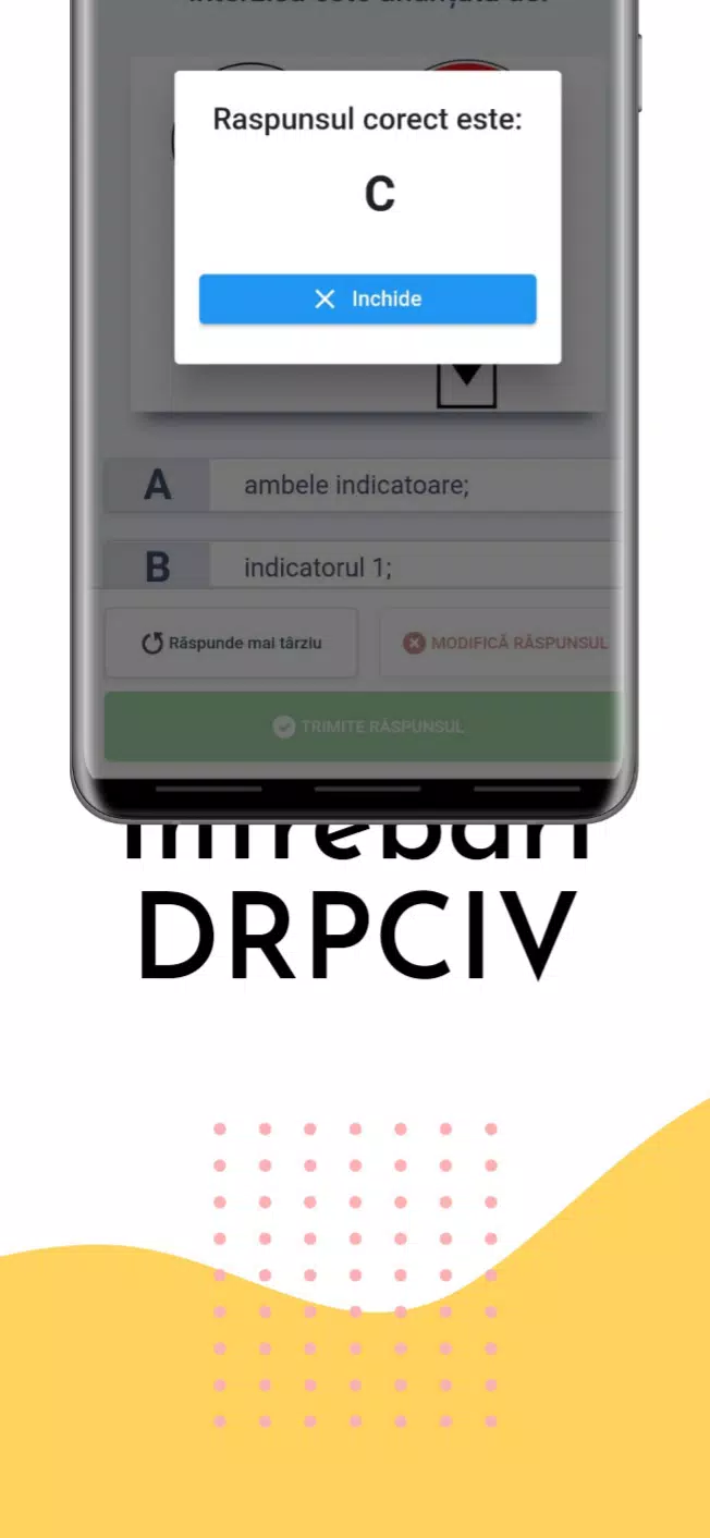 Chestionare Auto Examen DRPCIV Screenshots