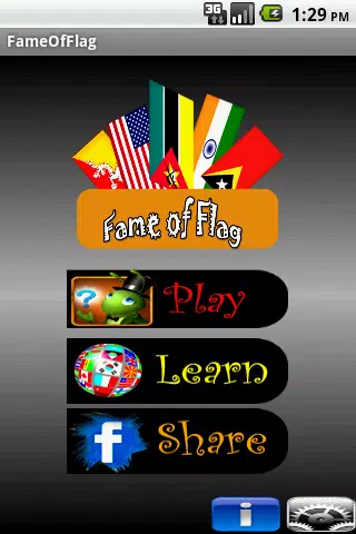 Fame Of Flag Screenshots