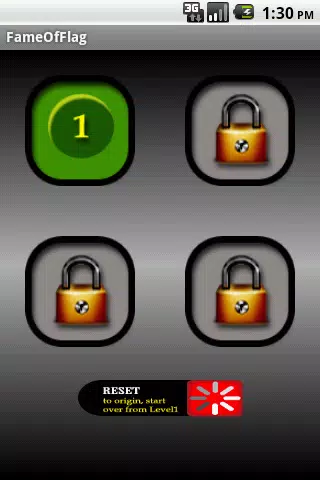 Fame Of Flag Screenshots