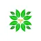 Farmacia Annolino