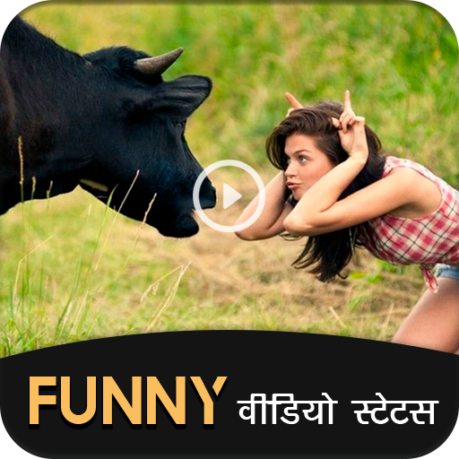 Funny Video Status