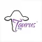 Taurus-ST