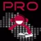 Pioneer Pro DJ School