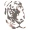 Republic Tiger Sports