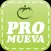 Fundación Salomón